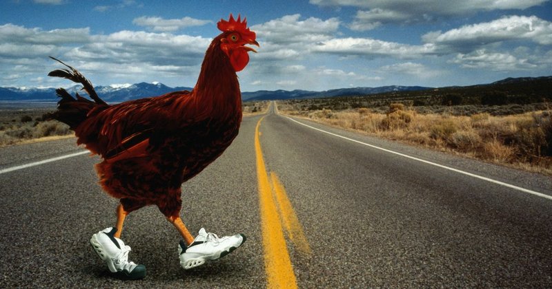 Chicken road game, chicken road casino